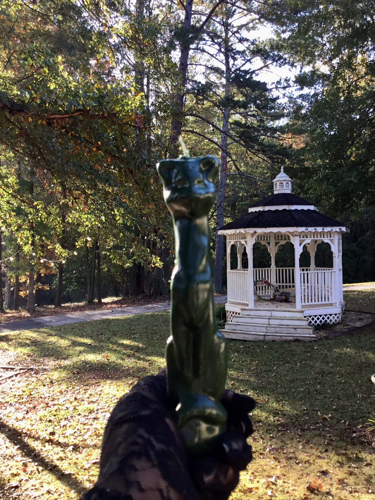 Green Cat Candle, Green Cat Candles, Ritual Candles, Prosperity Spells, Cat Candles