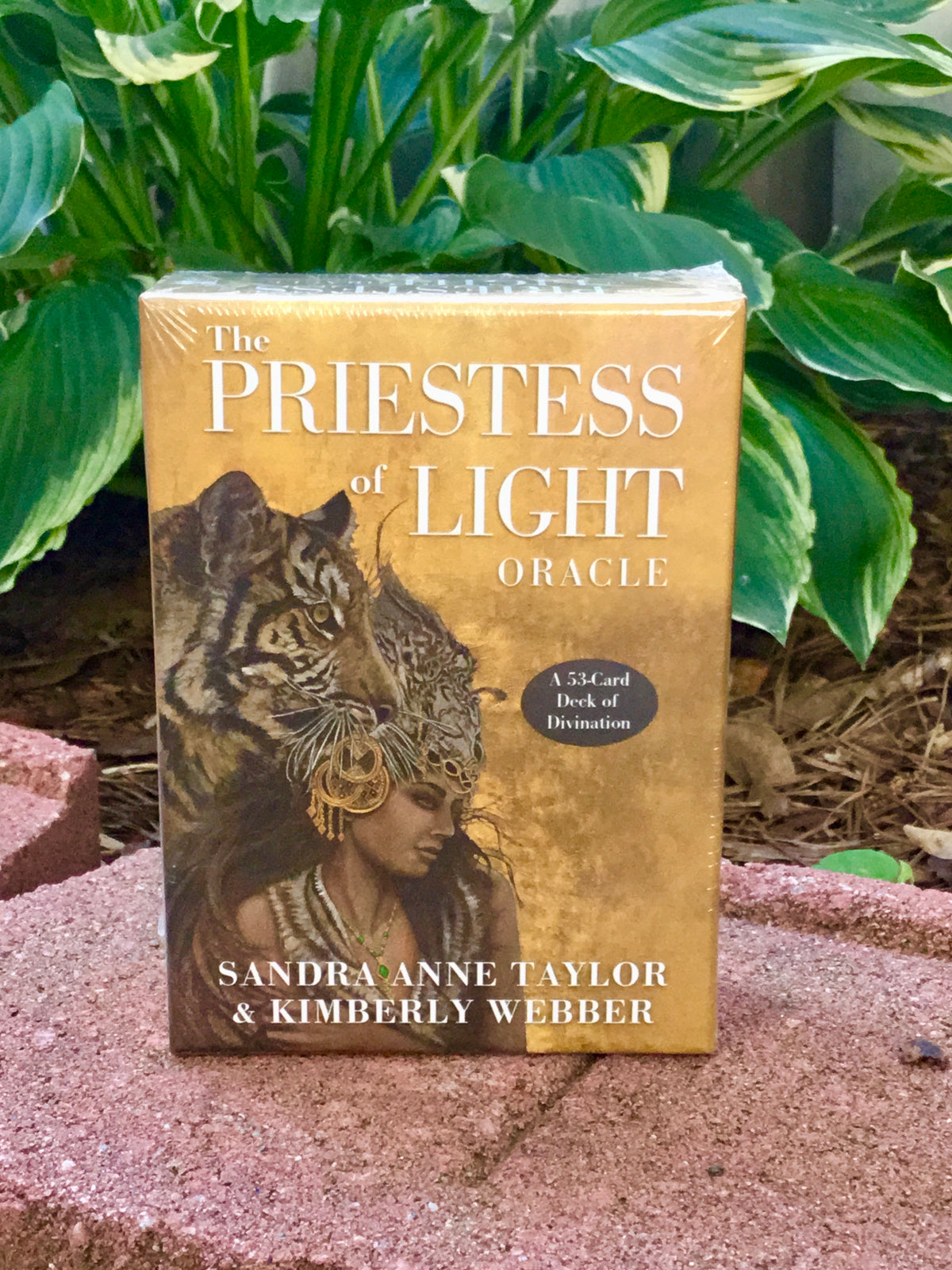 The Priestess of Light Oracle