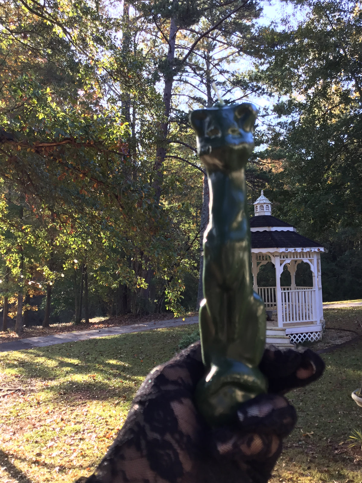 Green Cat Candle, Green Cat Candles, Ritual Candles, Prosperity Spells, Cat Candles