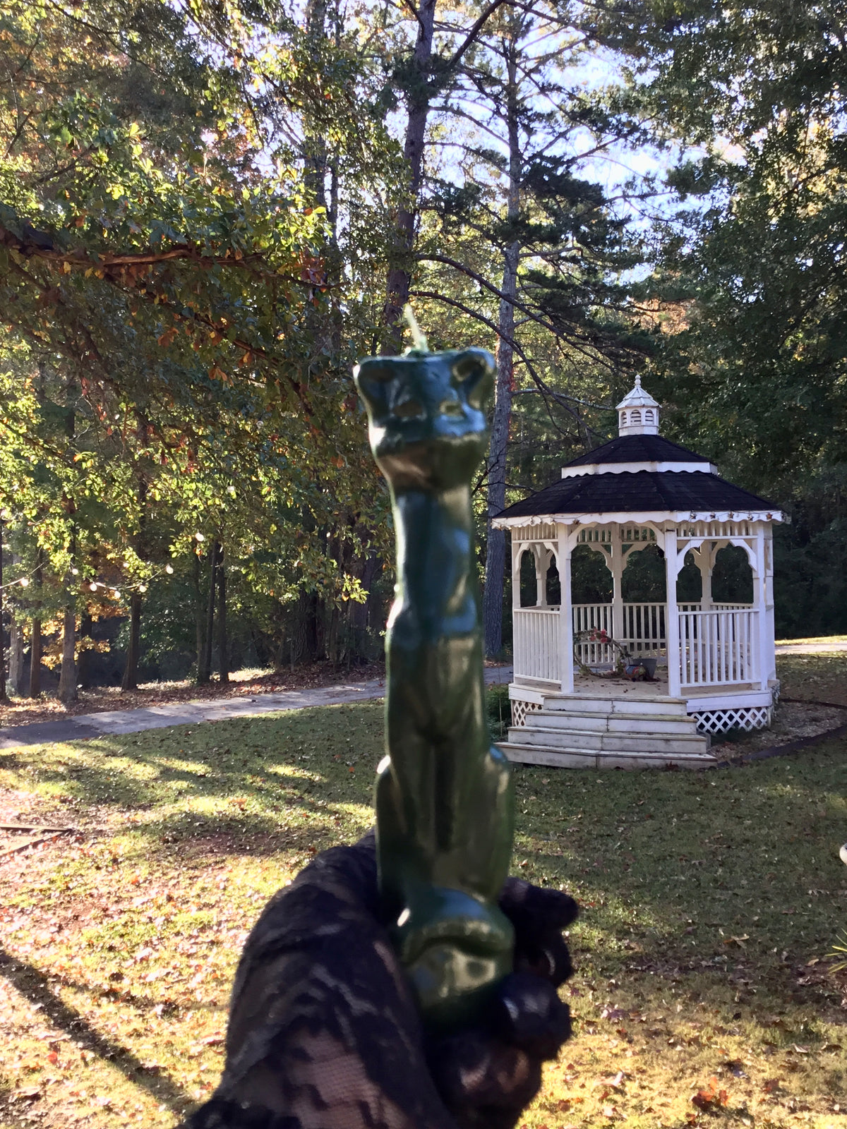 Green cat candle for prosperity and abundance rituals