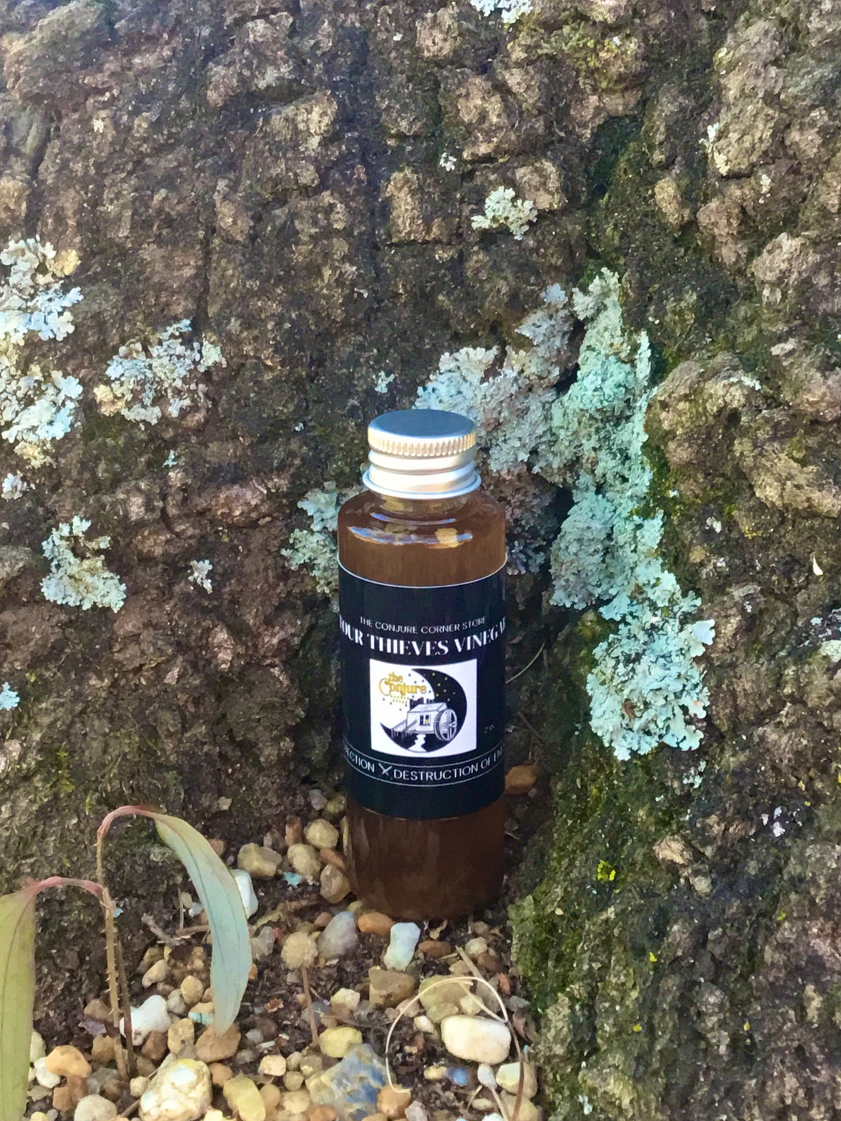 Four thieves vinegar