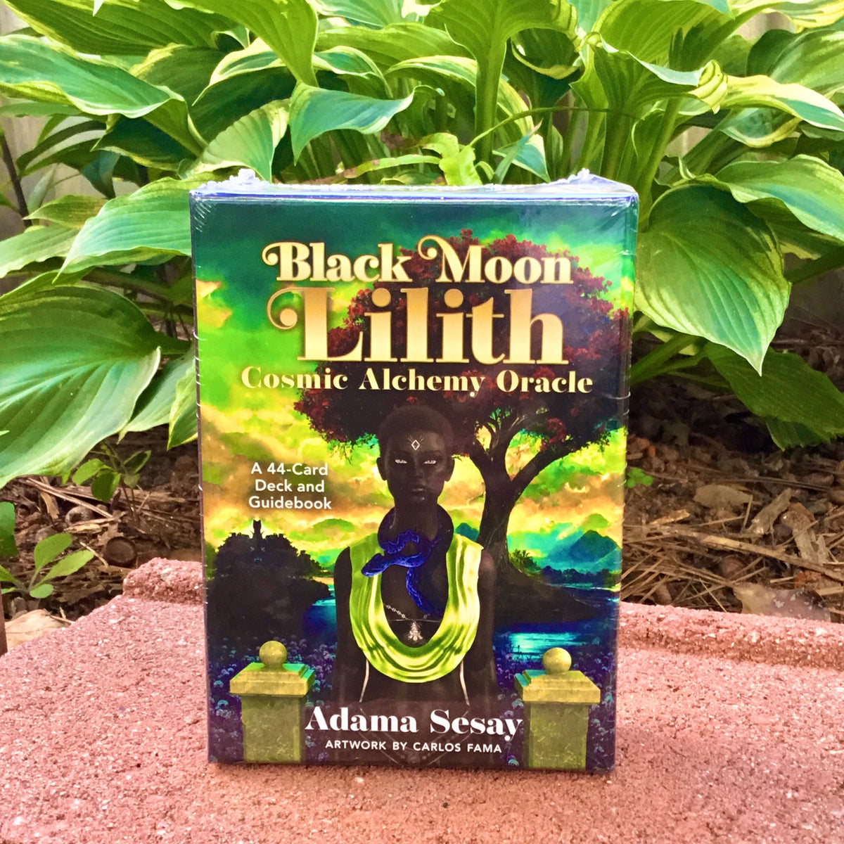 Oracle cards with black people, beginner oracle cards