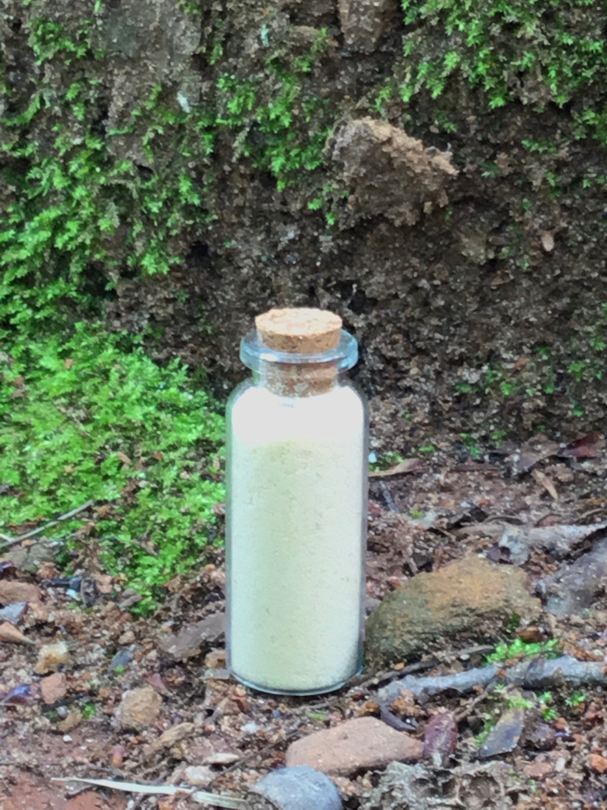 Devil’s Dung Banishing Powder