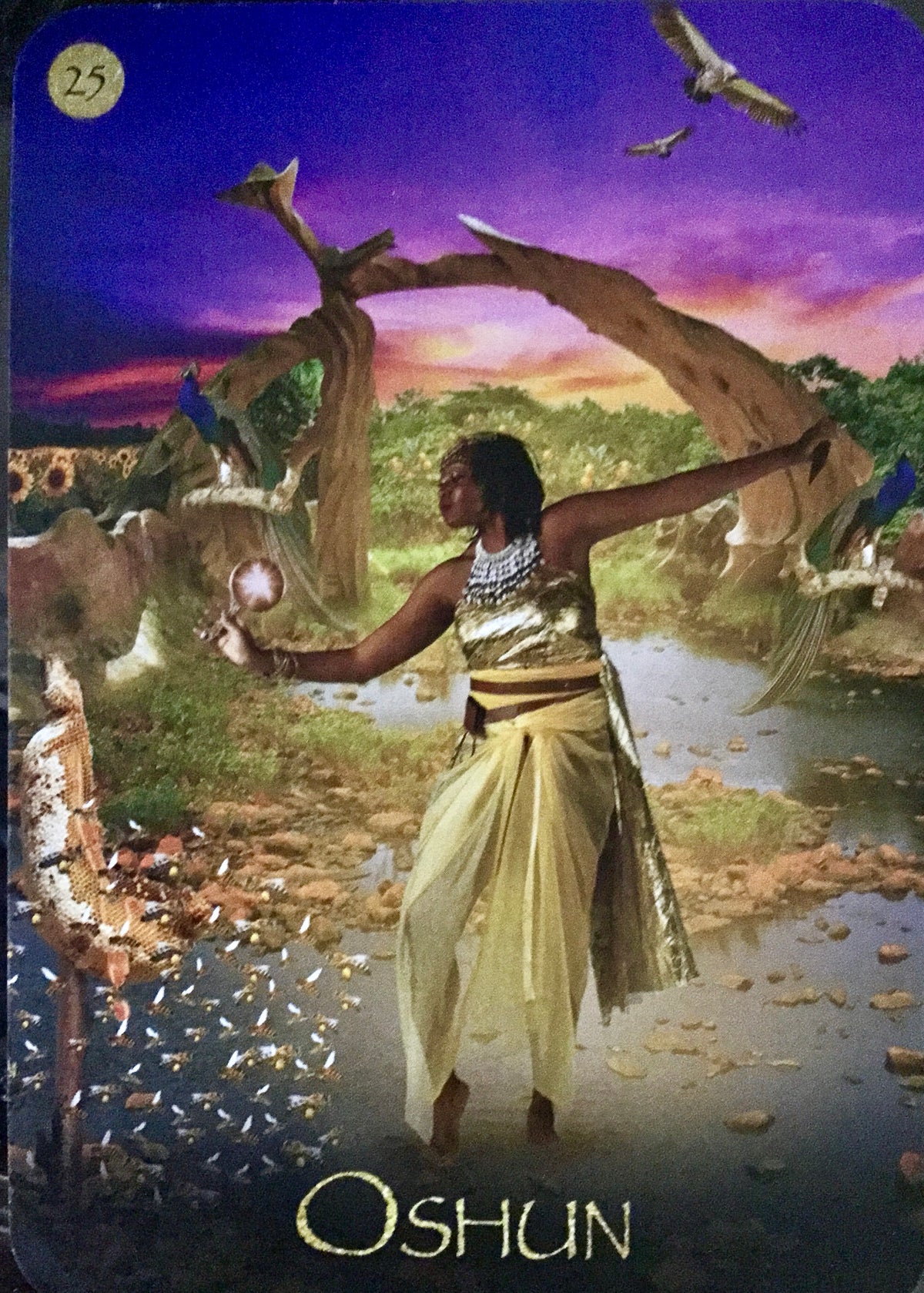 Black Goddess Within Oracle Cards