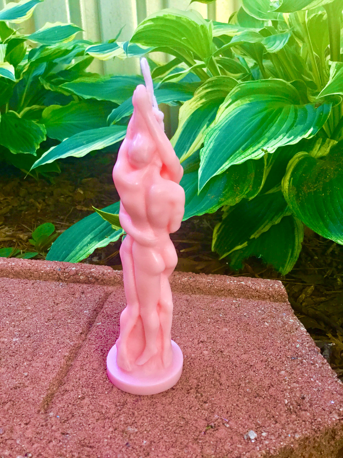 Adam and Steve Candle