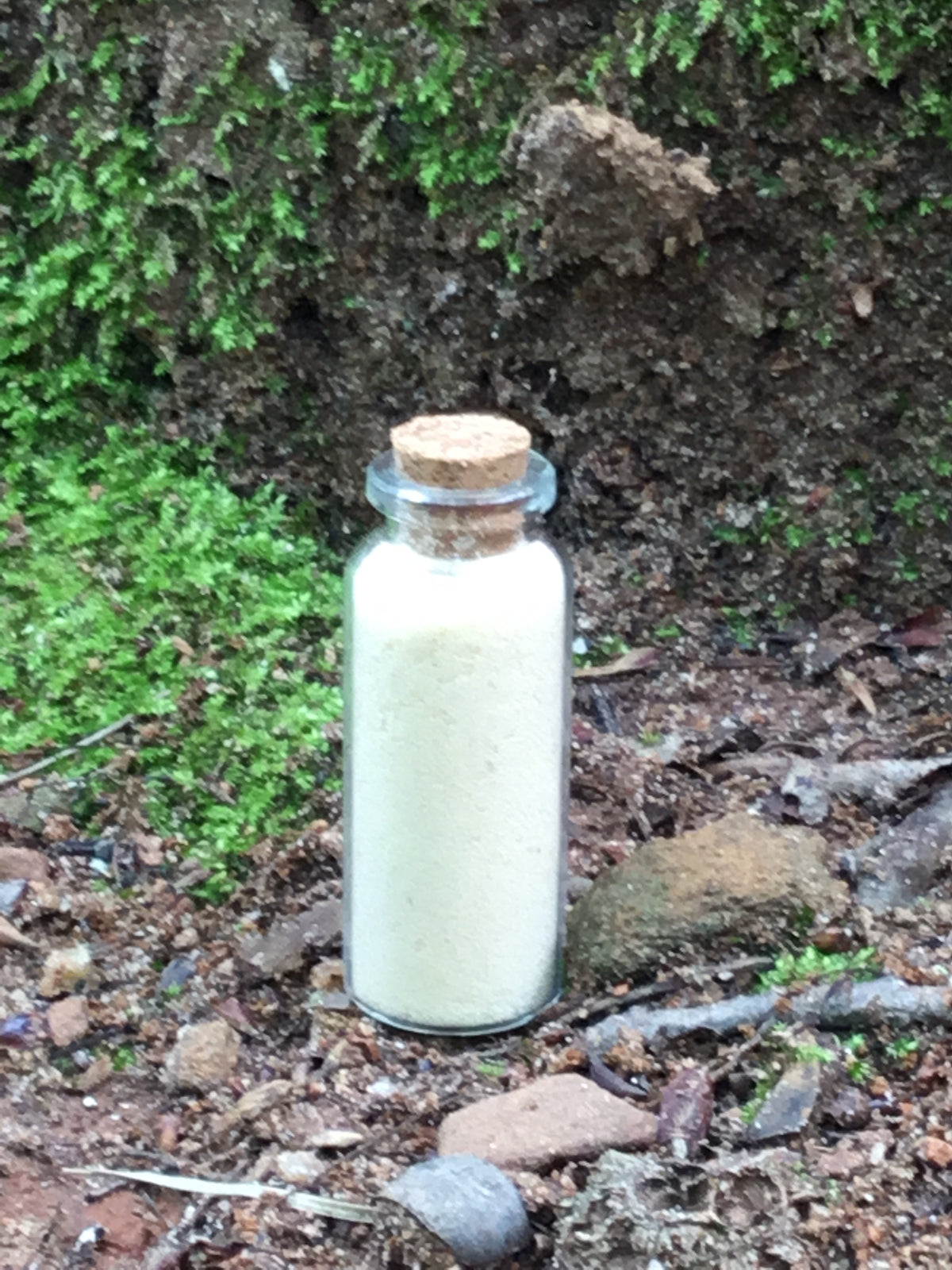 Devil’s Dung Banishing Powder