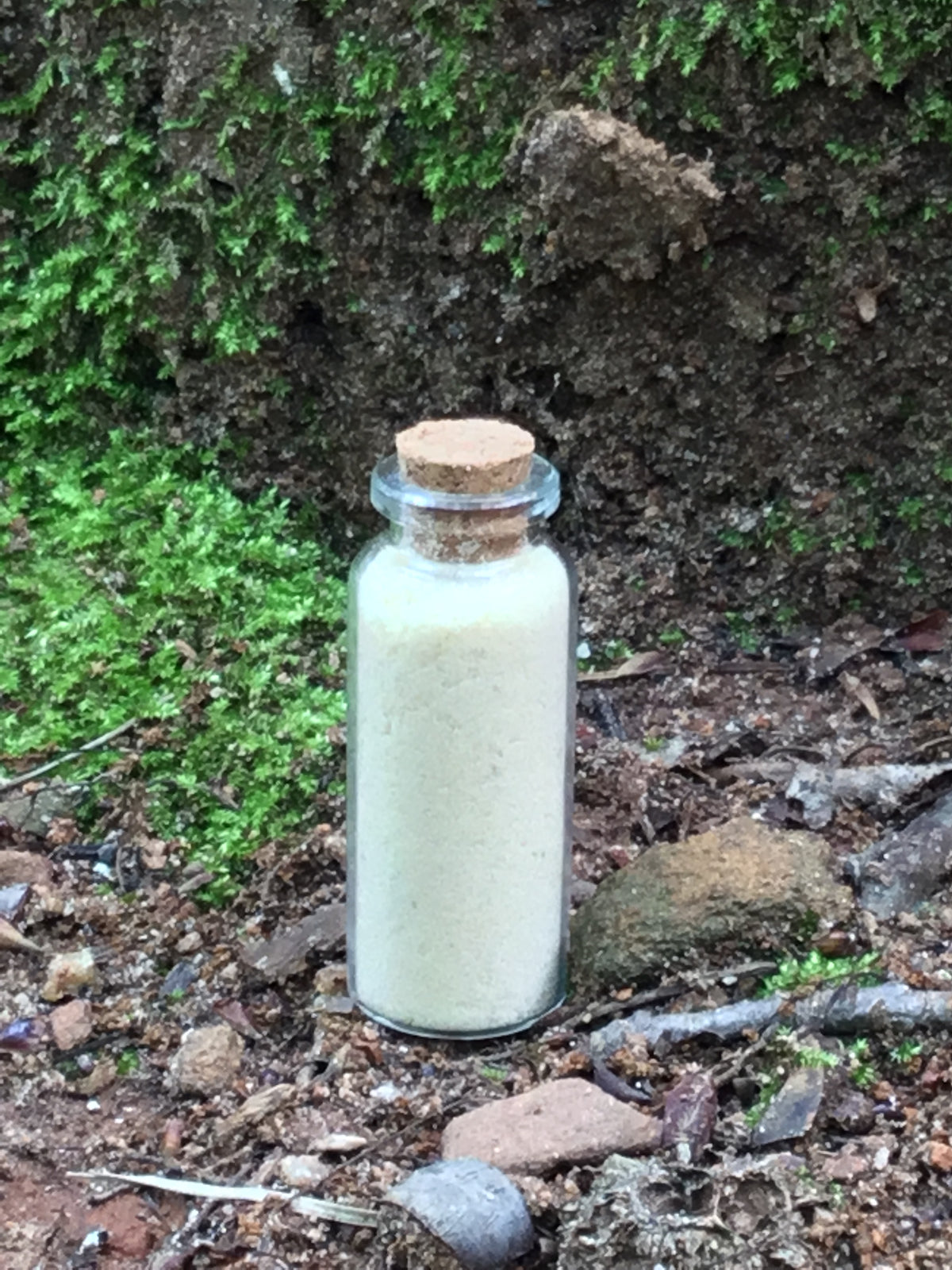 Devil’s Dung Banishing Powder