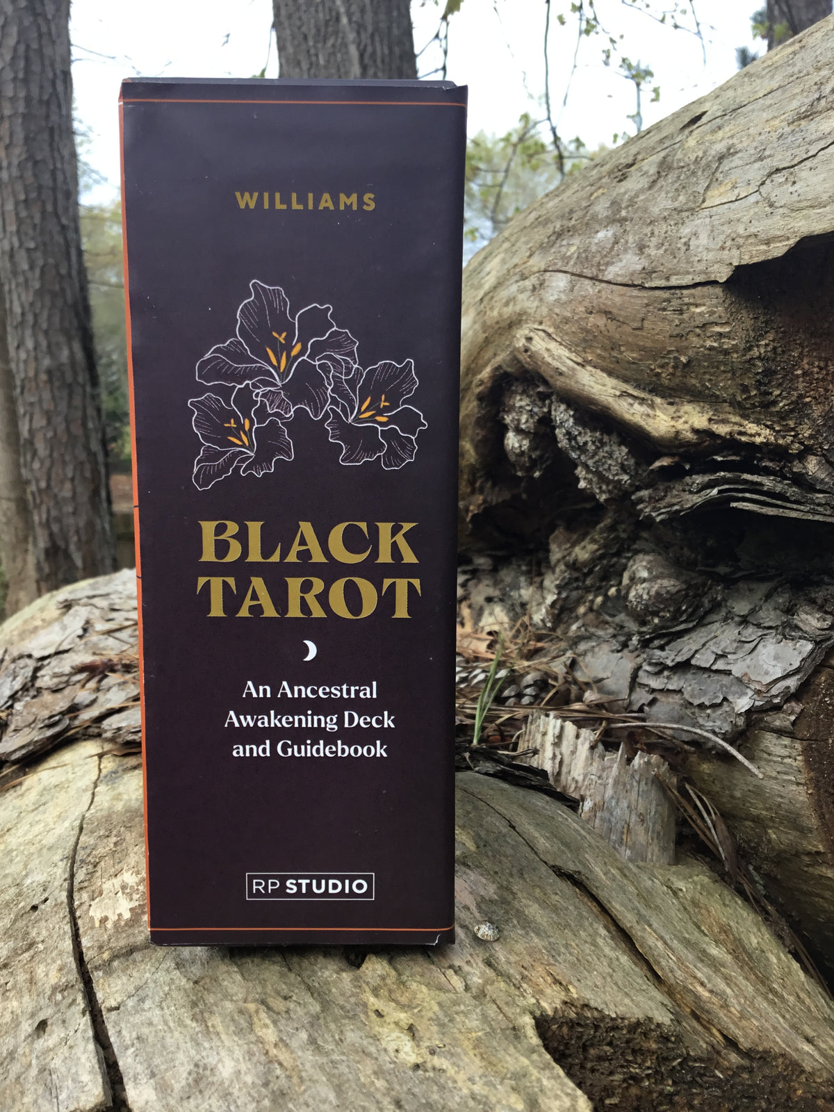 Black Tarot, Black Tarot Decks, Black Tarot Ancestor Awakening Deck