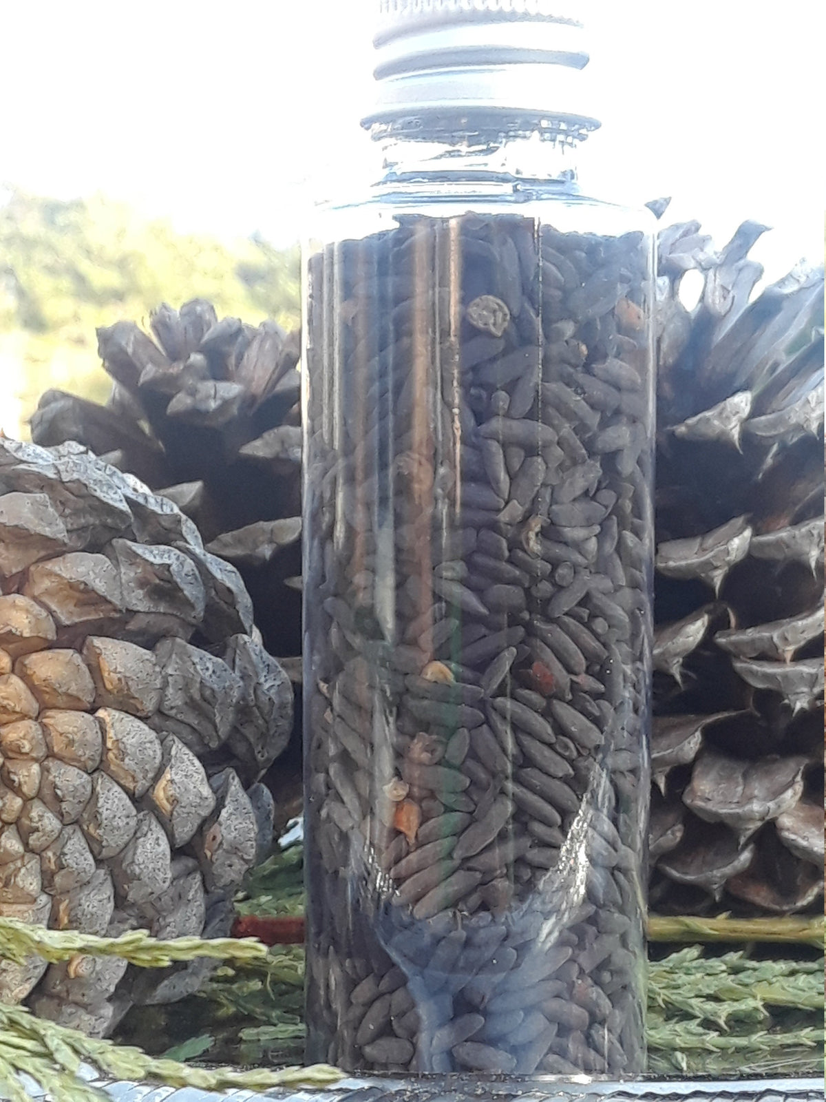 Hoodoo Rice,Black Protection Rice,Black Rice,Love Rice,Love Spells,Red Rice,Money Rice,Money Spells,Prosperity Rice, Lucky Green Rice