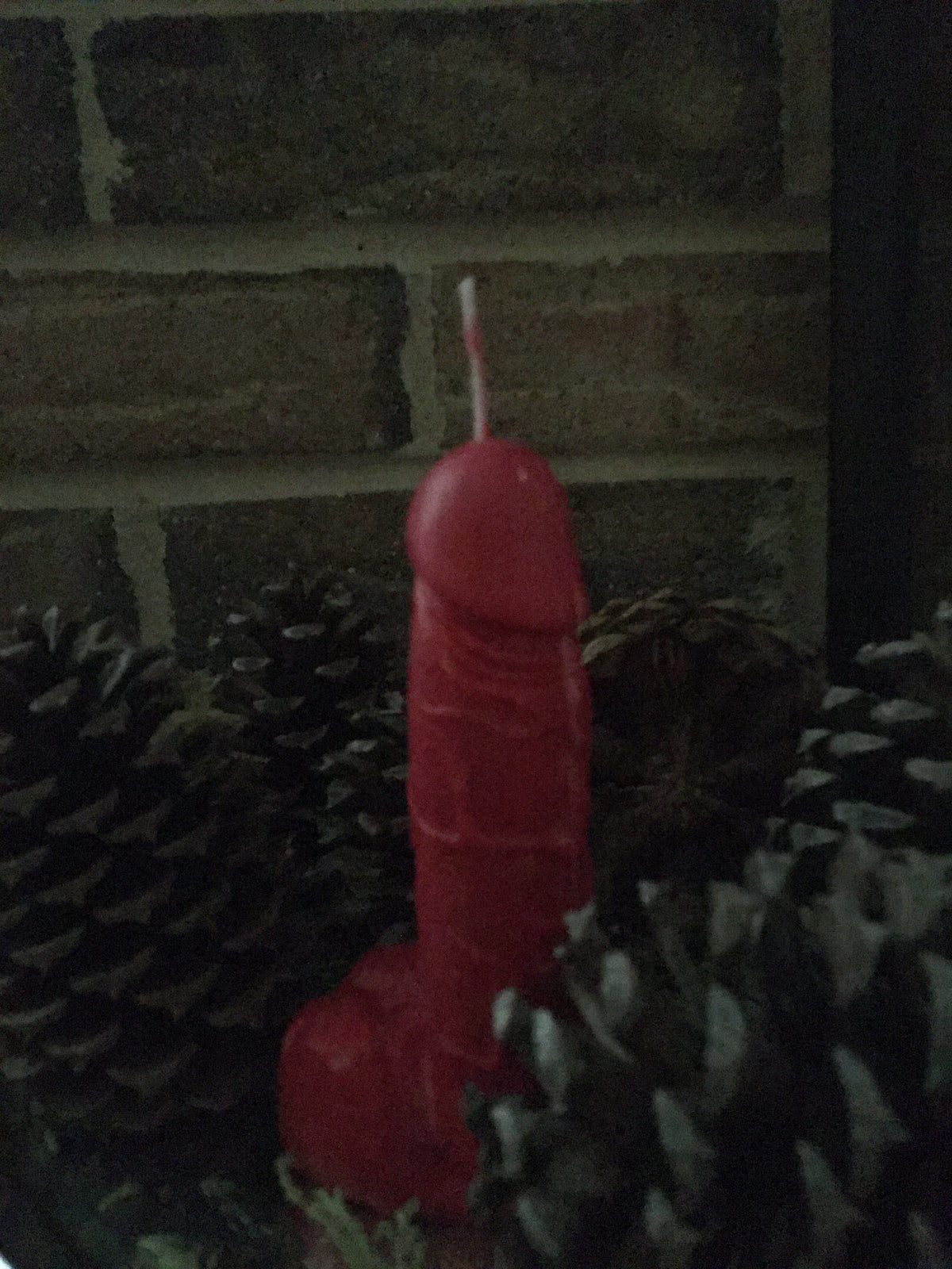 Male genital candle