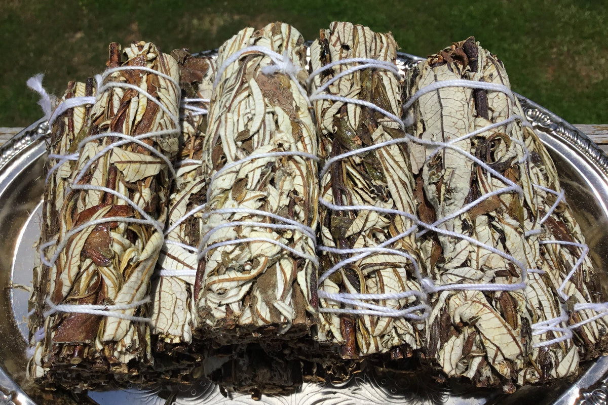 Yerba Santa, Yerba Santa Bundle