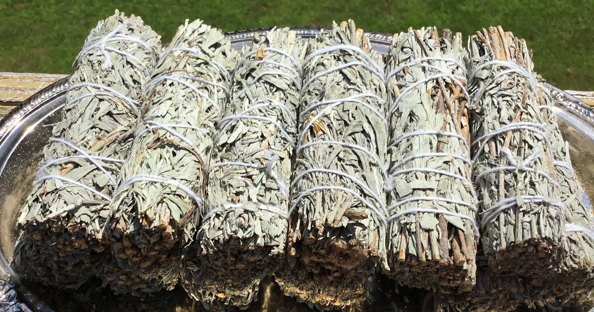Blue Sage, Blue Sage Bundles, Smudging, Cleansing