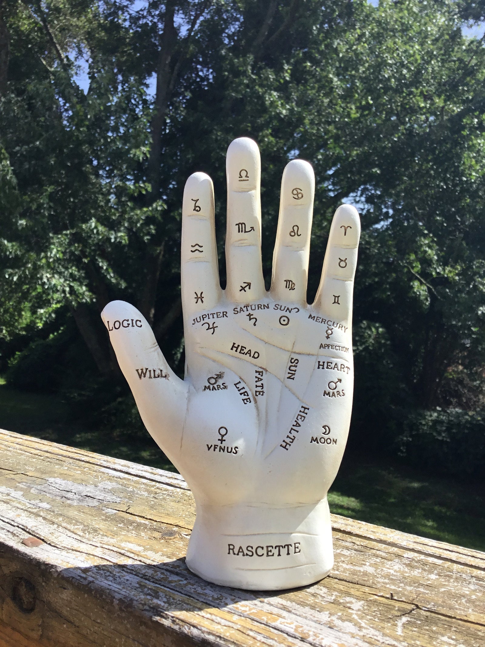 Chiromancy Hand Figurine, Palmistry Hand, White Rustic