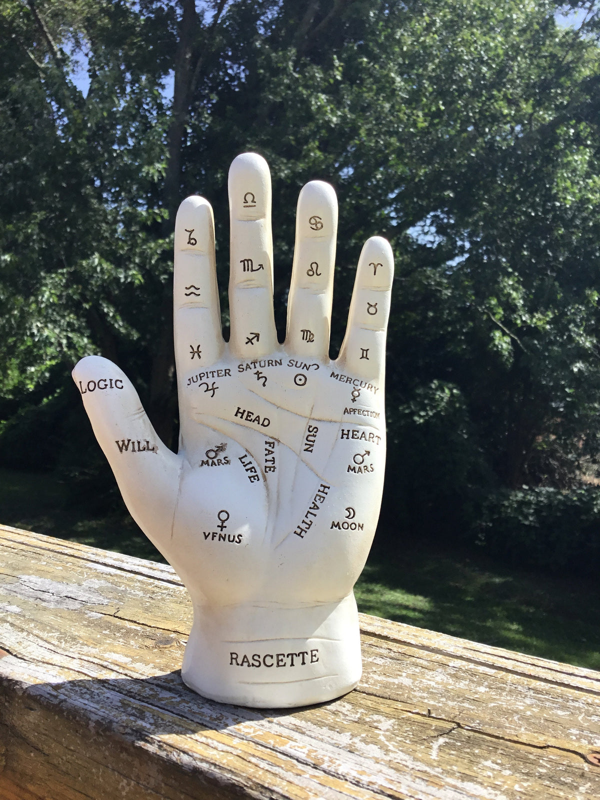 Chiromancy Hand Figurine, Palmistry Hand, White Rustic