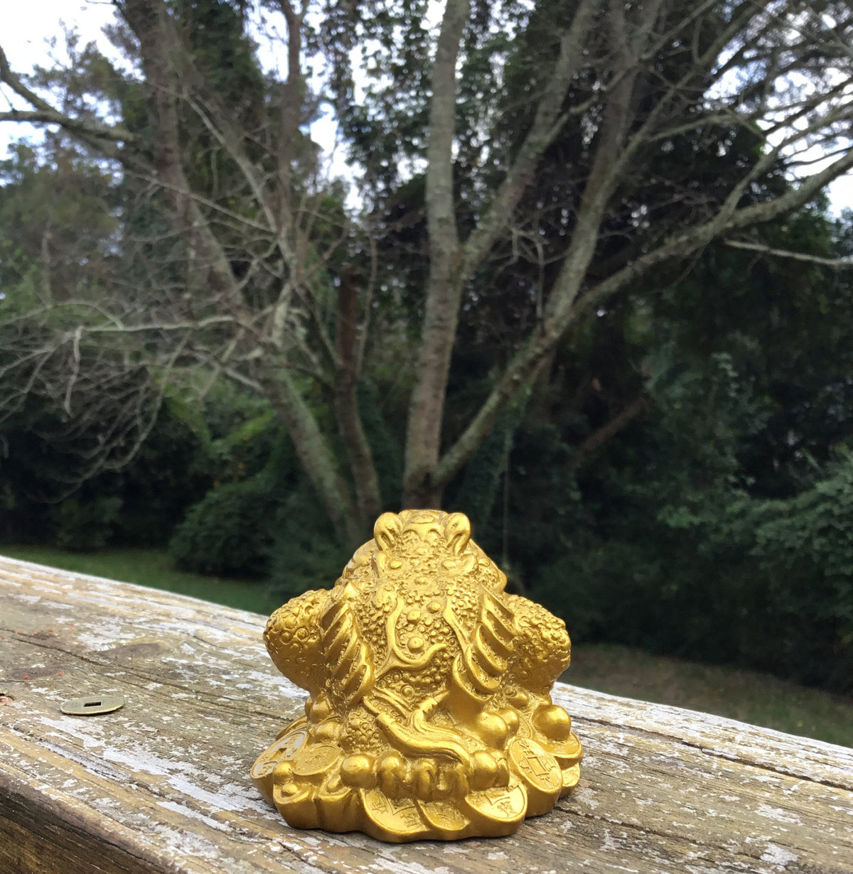 Feng Shui Money Frog, Lucky Money Toad