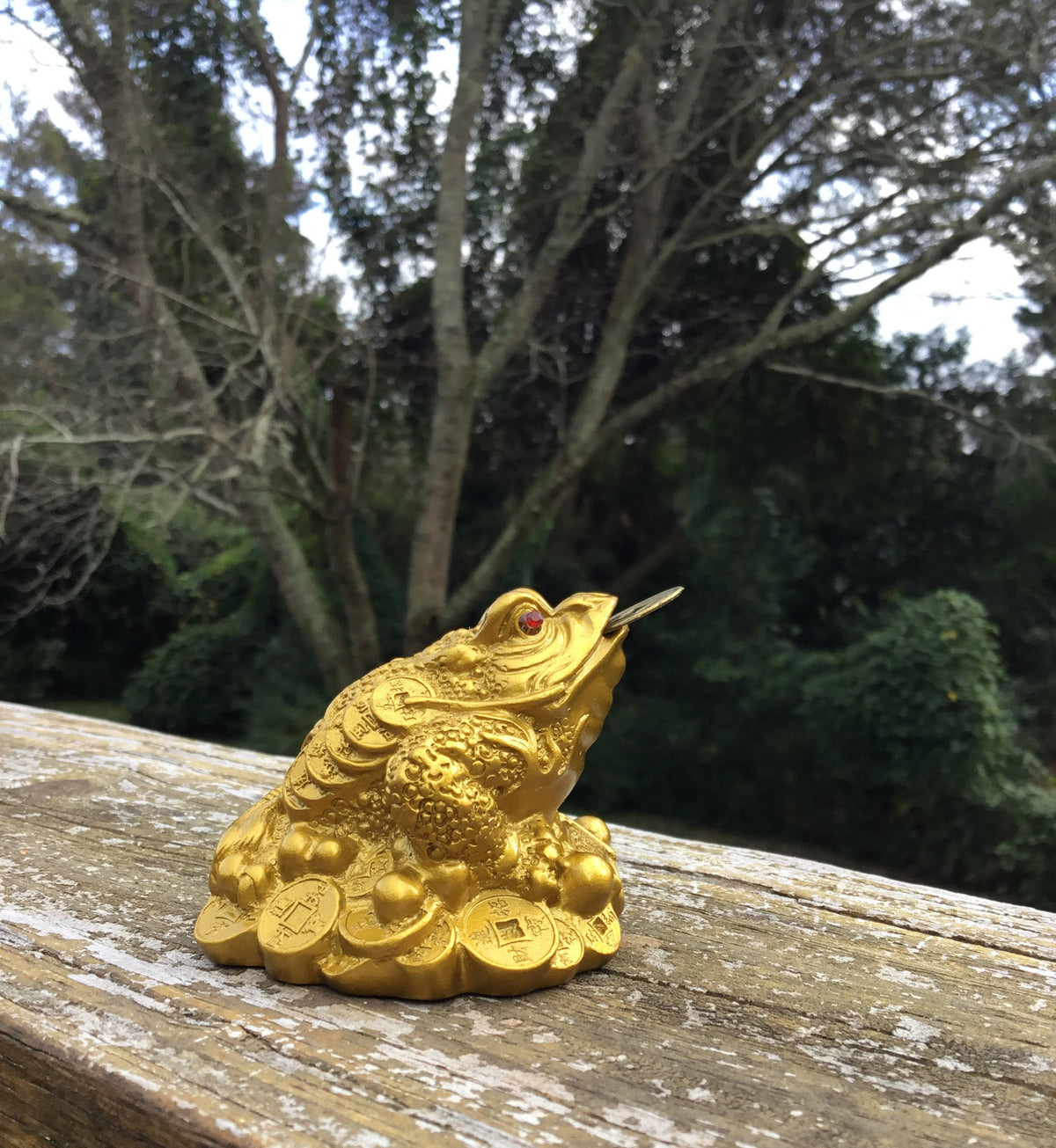 Feng Shui Money Frog, Lucky Money Toad