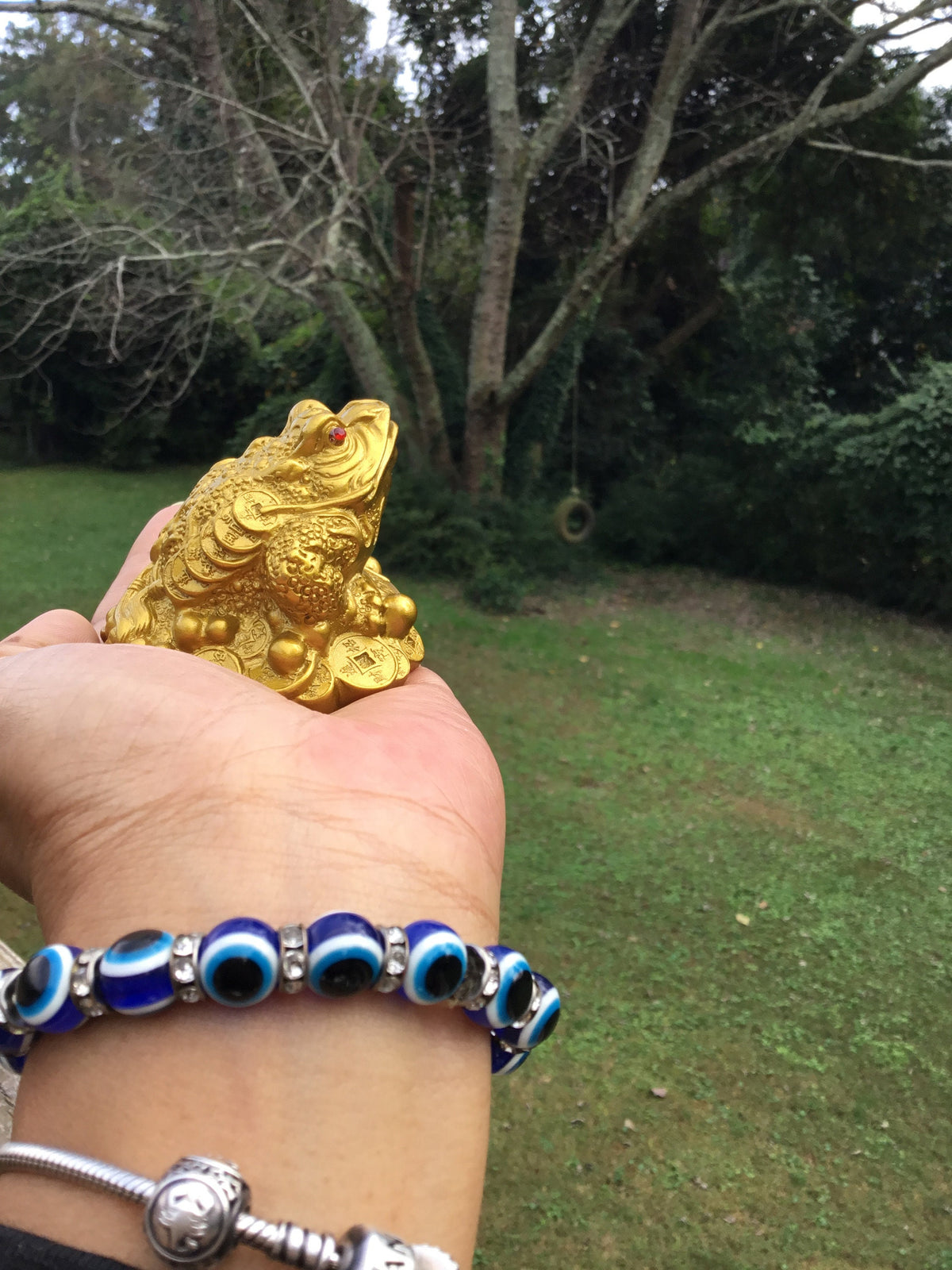 Feng Shui Money Frog, Lucky Money Toad