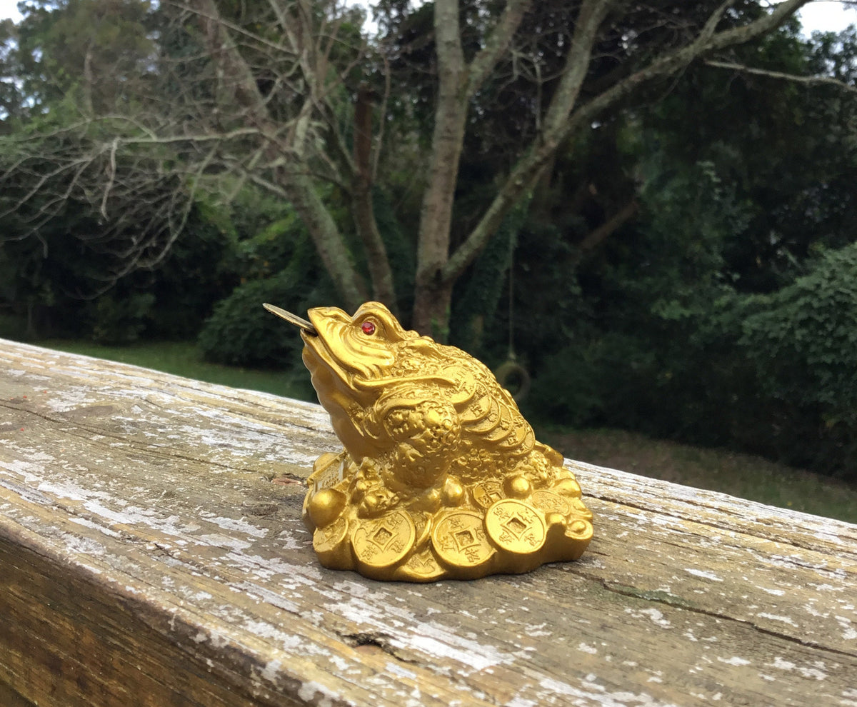 Feng Shui Money Frog, Lucky Money Toad