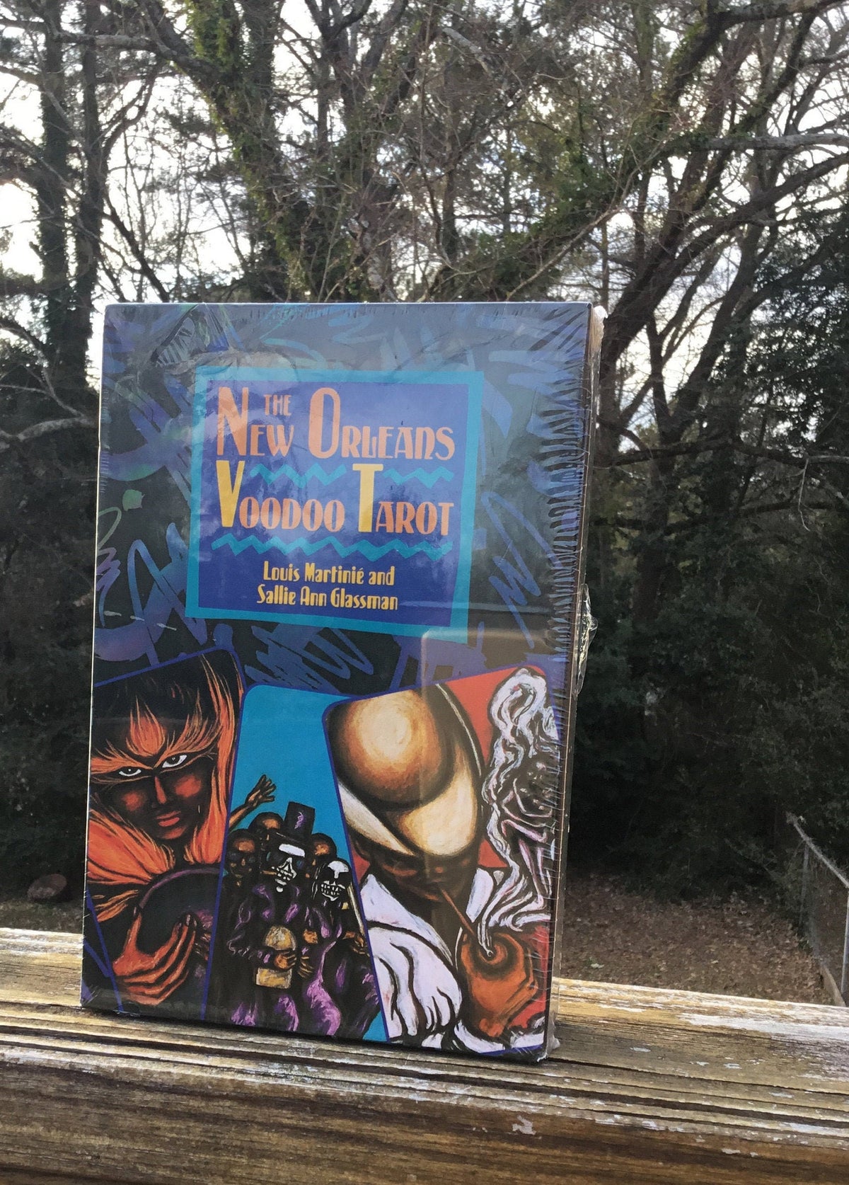 The New Orleans Voodoo Tarot