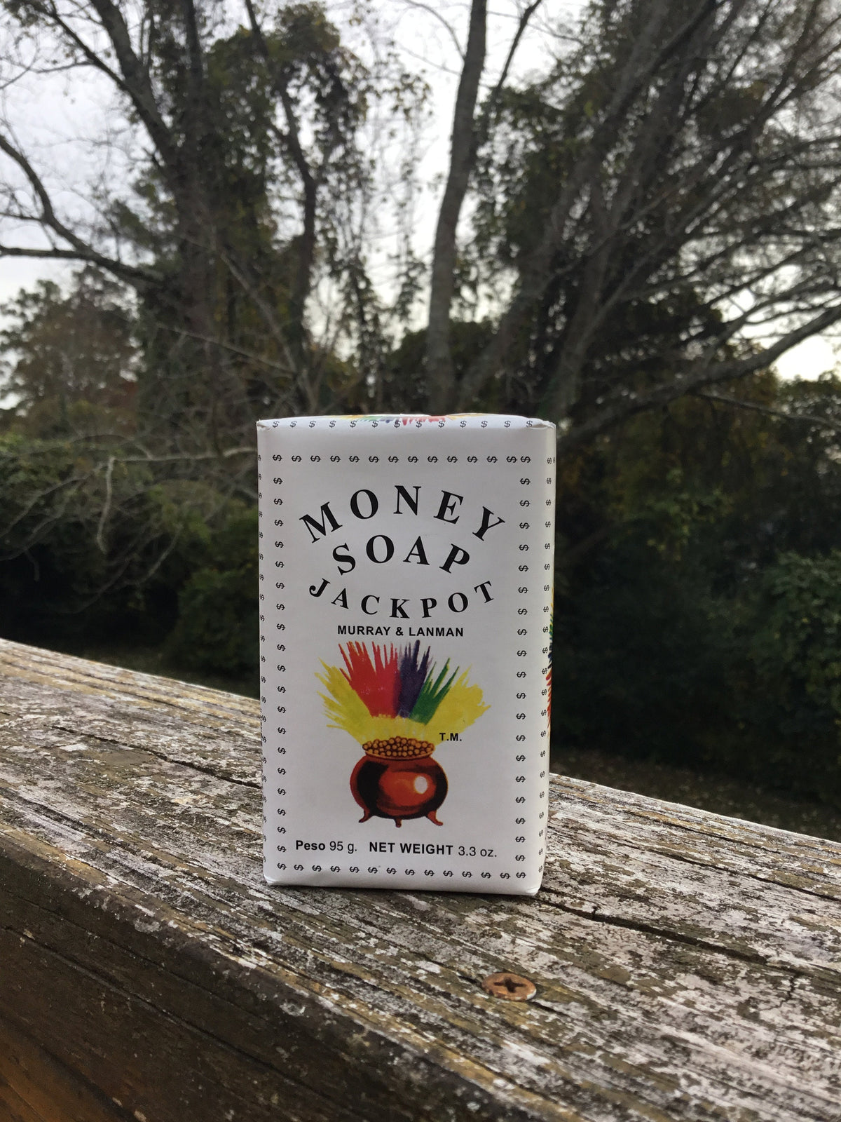 Money Soap, Prosperity, Abundance, Soap